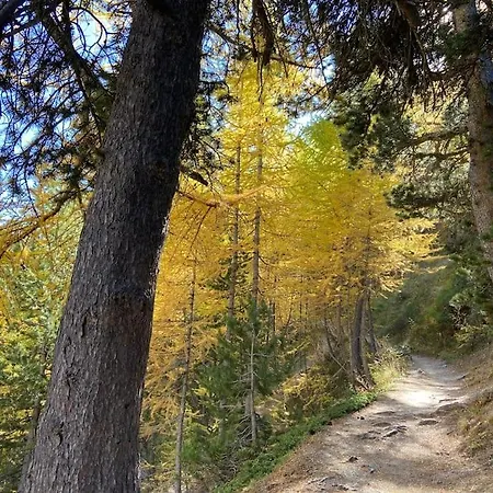 Apartamento Relax In Montagna Bardonecchia